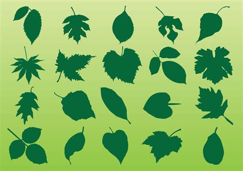 leaf vector|Leaf Shape Vectors & Illustrations for Free Download.